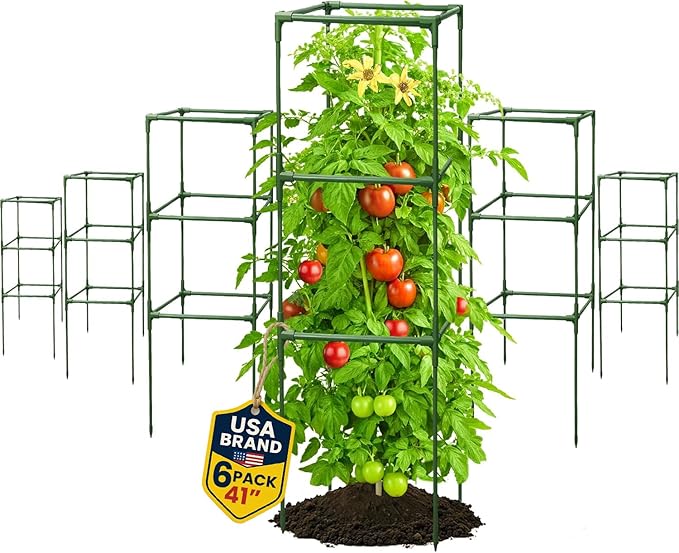 6 Pack Tomato Cage 63