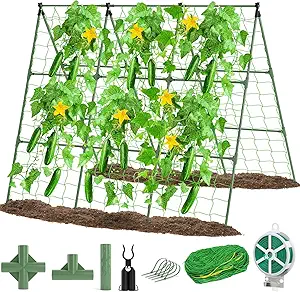 53x53 Cucumber Trellis for Raised Bed