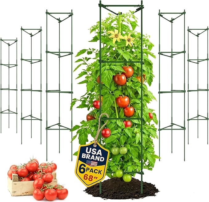 6 Pack Tomato Cage 68