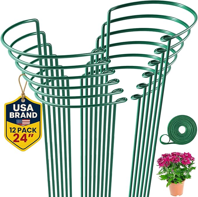 12 Pack Plant Support Stakes 24