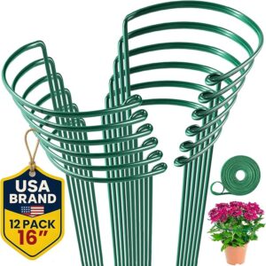 12 Pack Plant Support Stakes 16"