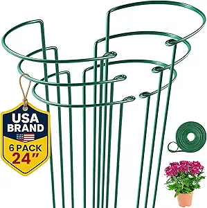 6 Pack Plant Support Stakes 24