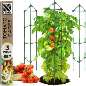 3 Pack Tomato Cage 68"