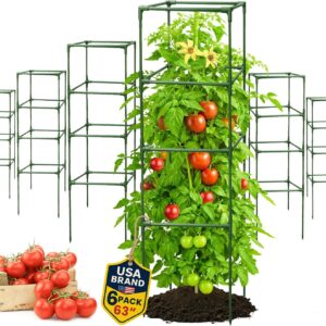 6 Pack Tomato Cage 63"