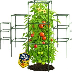 6 Pack Tomato Cage 63"